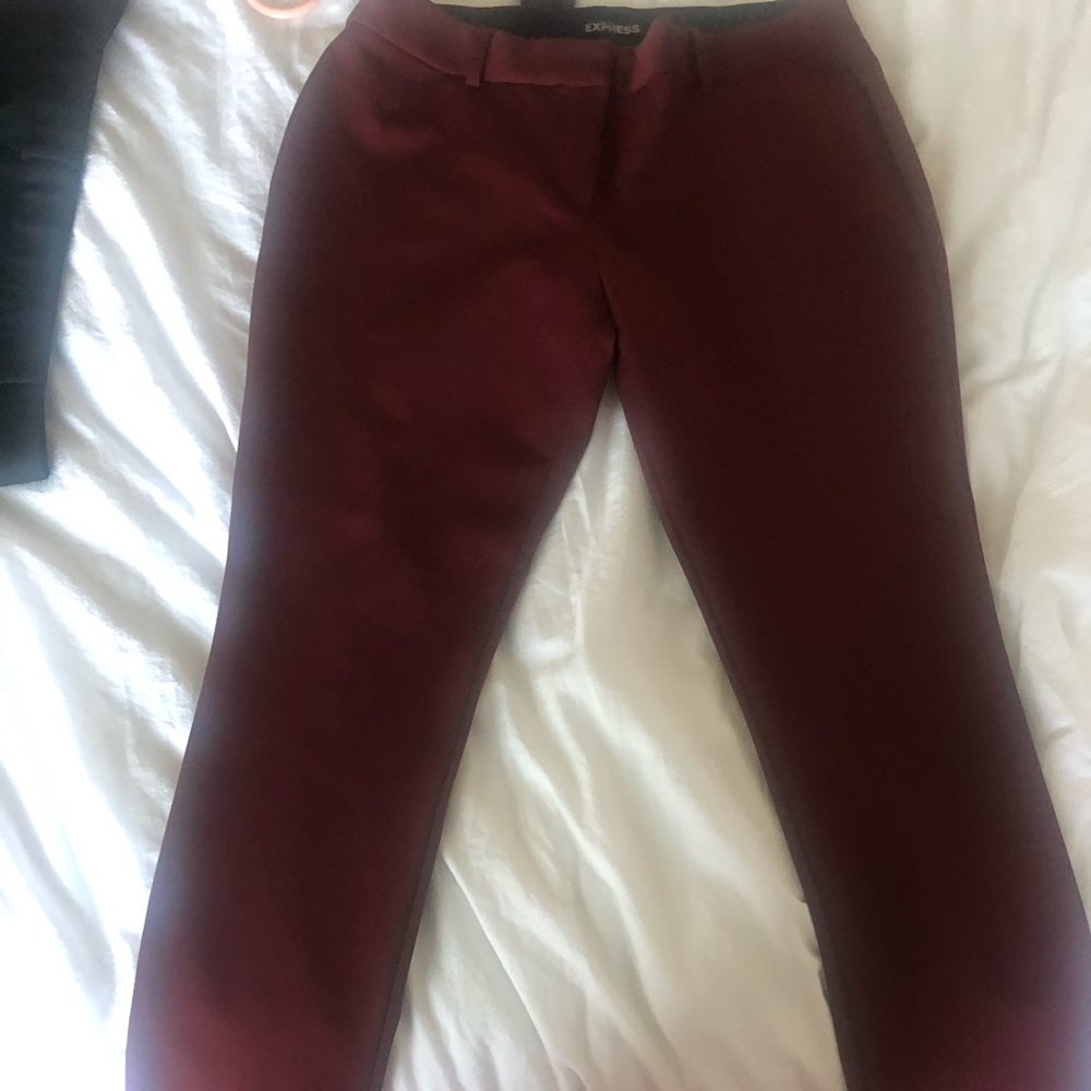 Express dress pants in burgundy